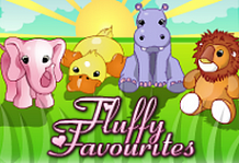 Fluffy Favourites